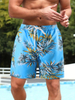 Beach Shorts