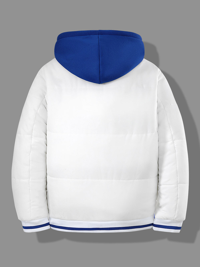 Down Coat with A Hood